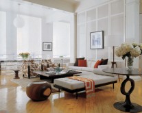 Living Room in stilul Feng Shui - Decor - Plante - Animale